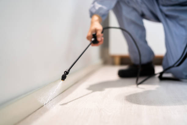 Licensed Ant Control service in Oak Hill, OH - Show Me Pest Control