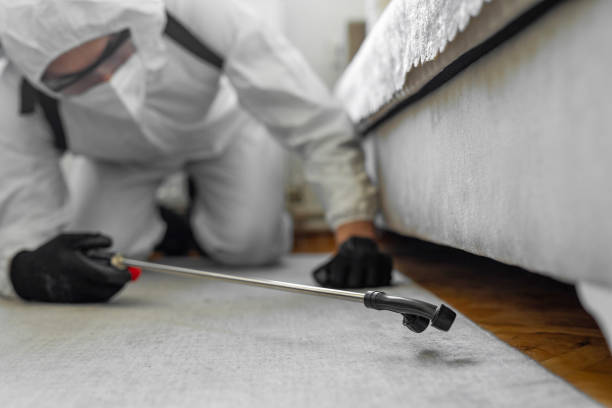 Professional Ant Control technician working in Oak Hill, OH