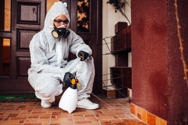 Reliable Ant Control contractor in Oak Hill, OH by Show Me Pest Control