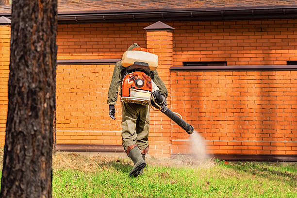 Top rated local Ant Control specialists in Oak Hill, OH